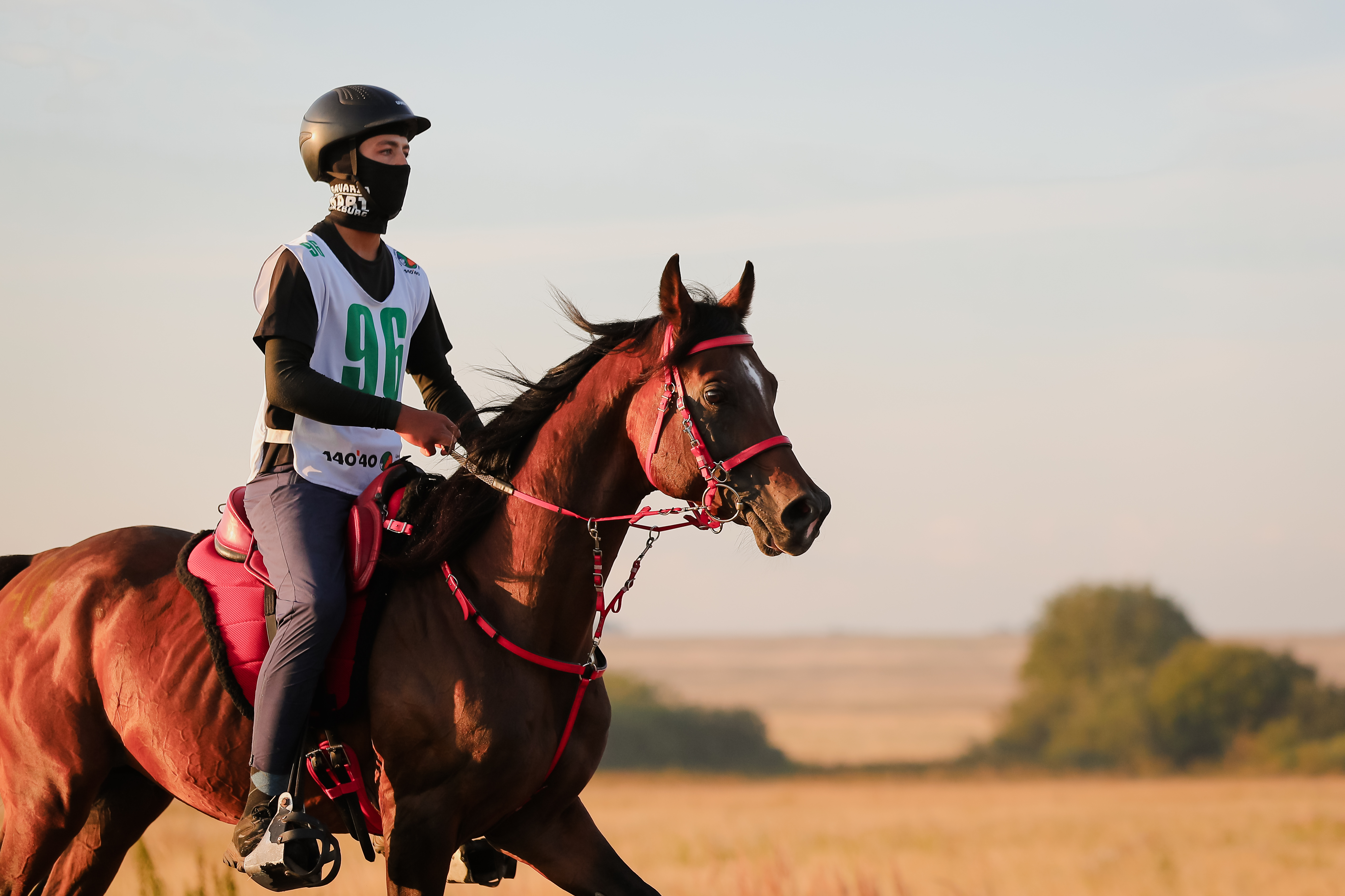 Tersk Endurance Team