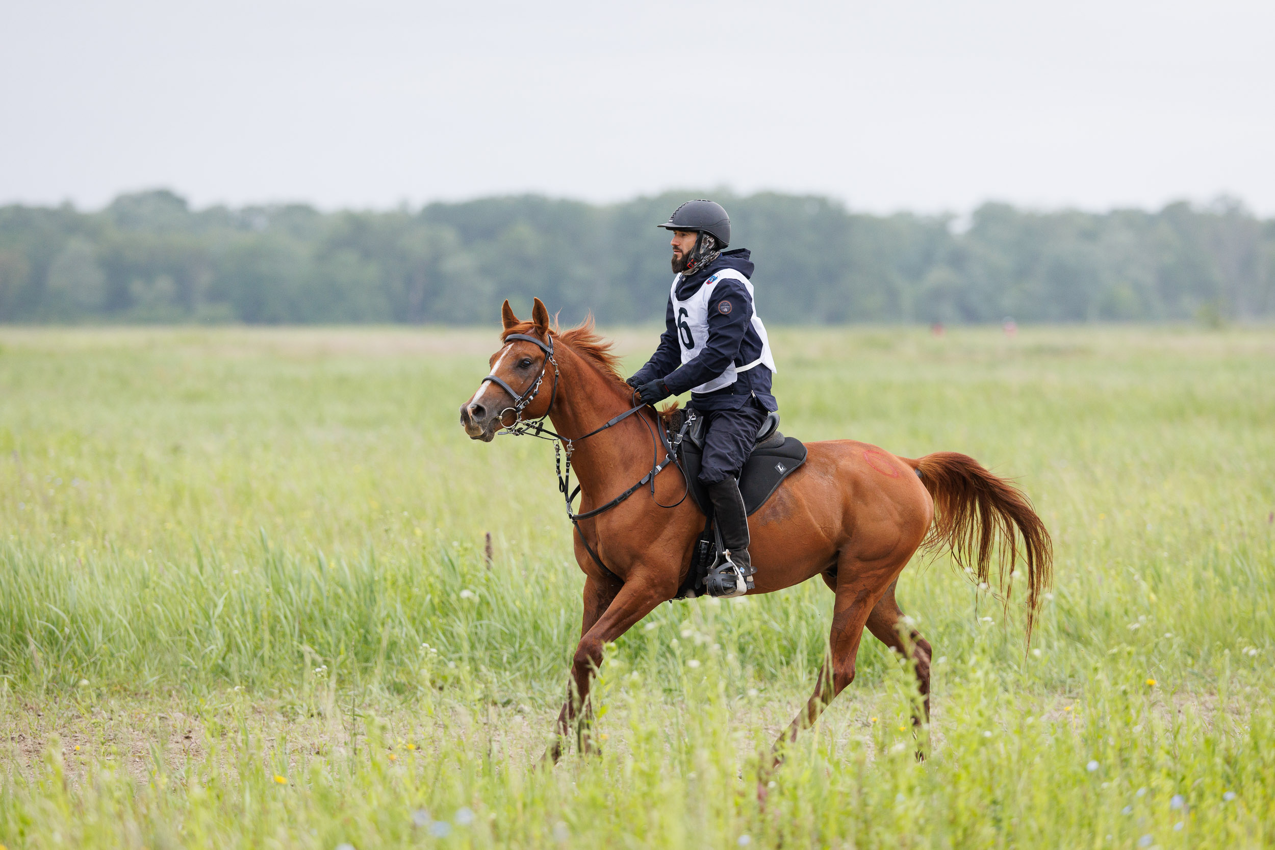 Tersk Endurance Team