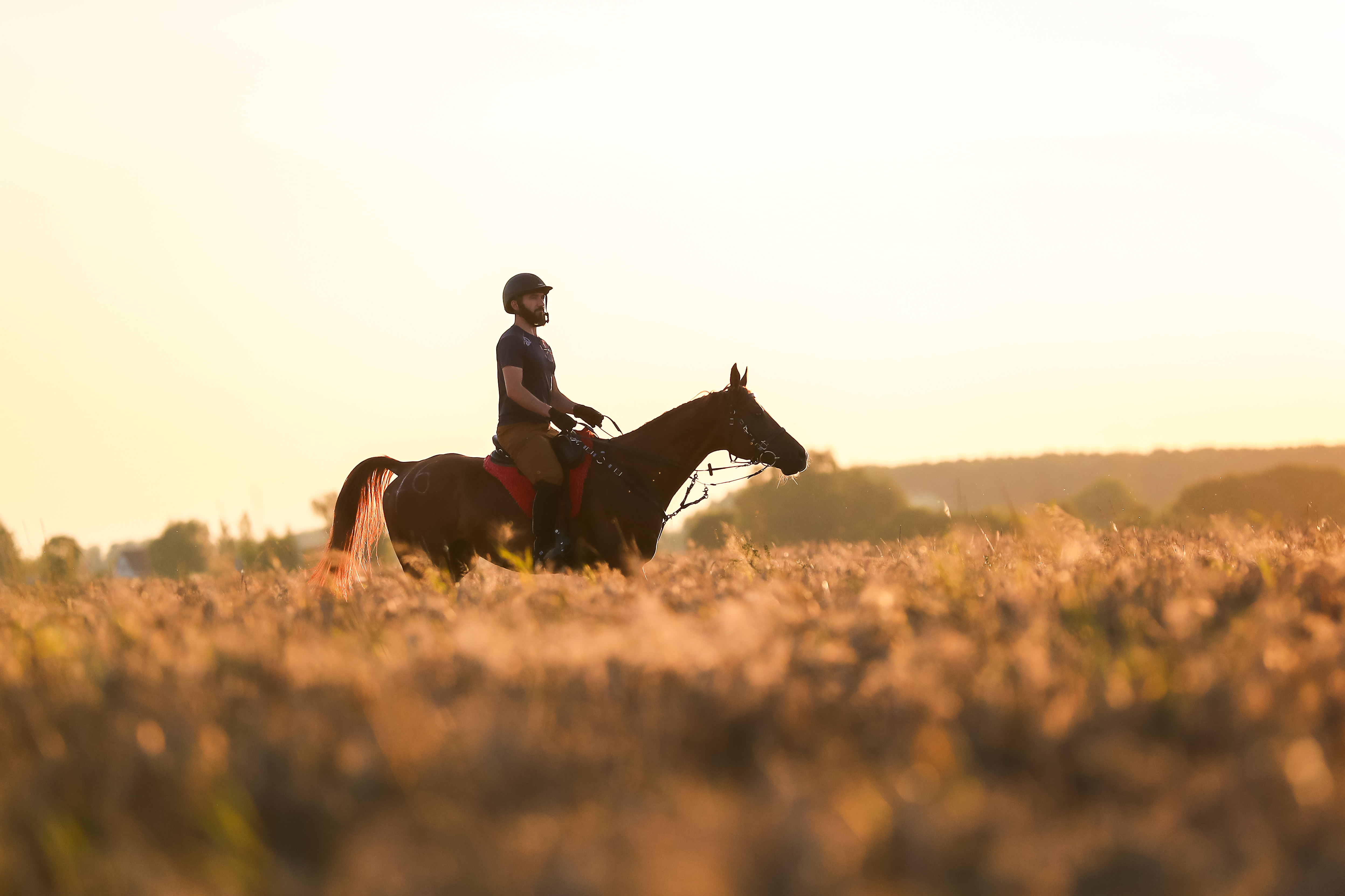 Tersk Endurance Team