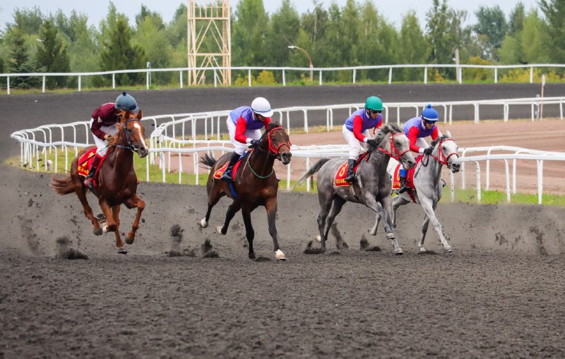 09.08.2024 — Большой Казанский Приз — DERBY GR I A RUS (Казанский ипподром) — Вахта Терск — 1 место