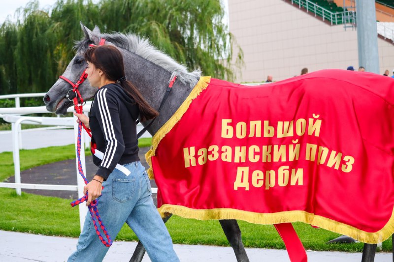 09.08.2024 — Большой Казанский Приз — DERBY GR I A RUS (Казанский ипподром) — Вахта Терск — 1 место
