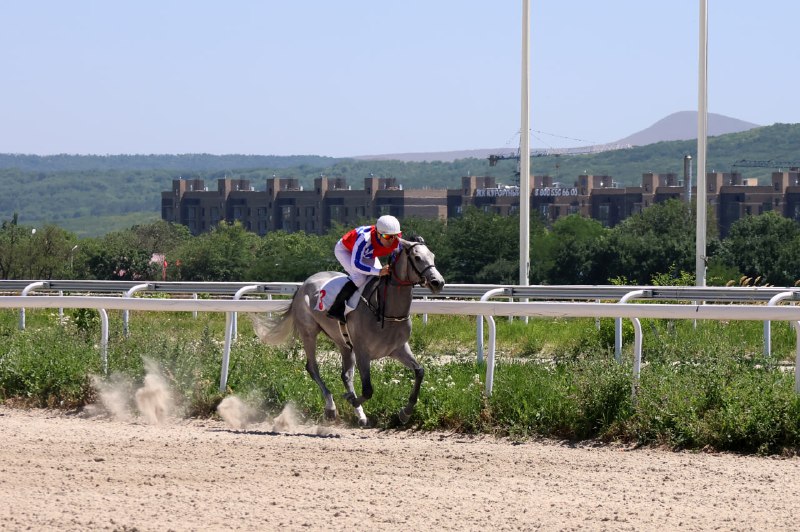14.07.2024 — Большой Приз для кобыл — OAKS GR I A RUS (Пятигорский ипподром) — Верная Терск — 1 место