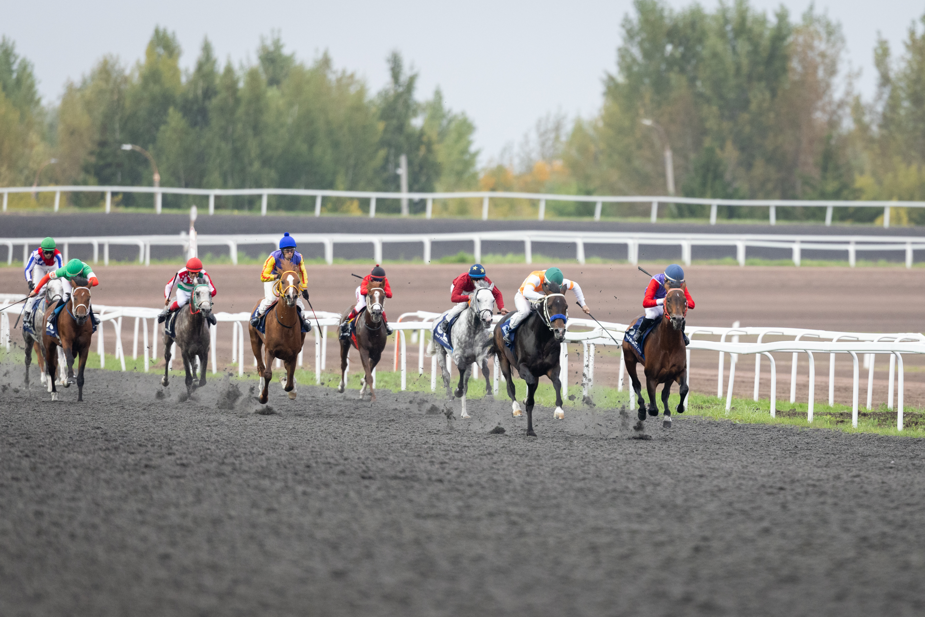 30.08.2025 — Приз Президента ОАЭ (Казанский Ипподром) — Восход Терск — 2 место
