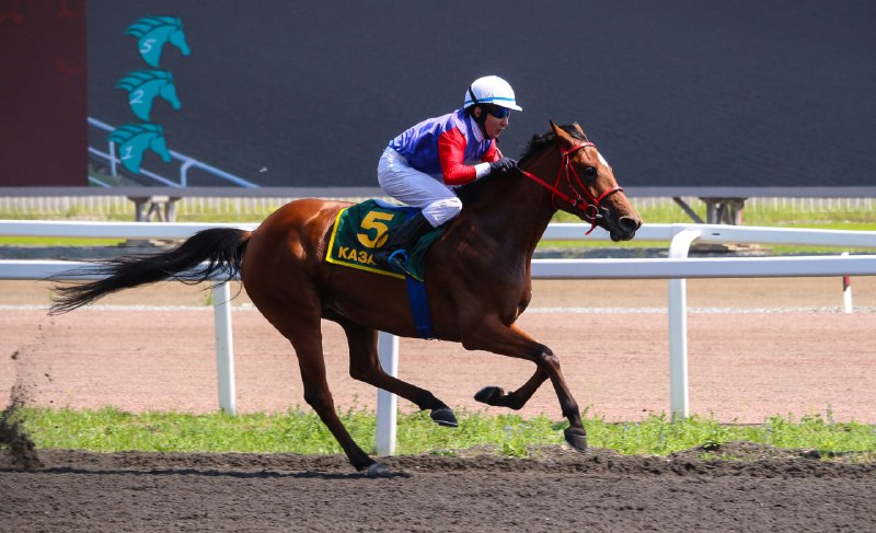 04.07.2024 — Звезда Татарстана — OAKS GR I A RUS (Казанский Ипподром) — Зависть Терск — 1 место