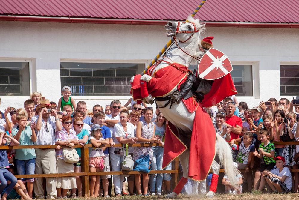 Шоу арабских лошадей