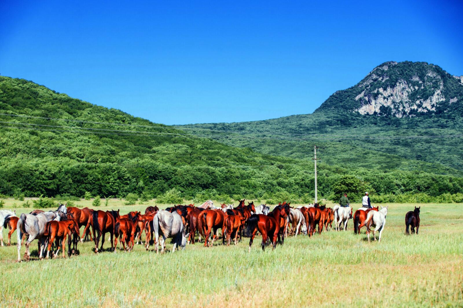 Северный Кавказ