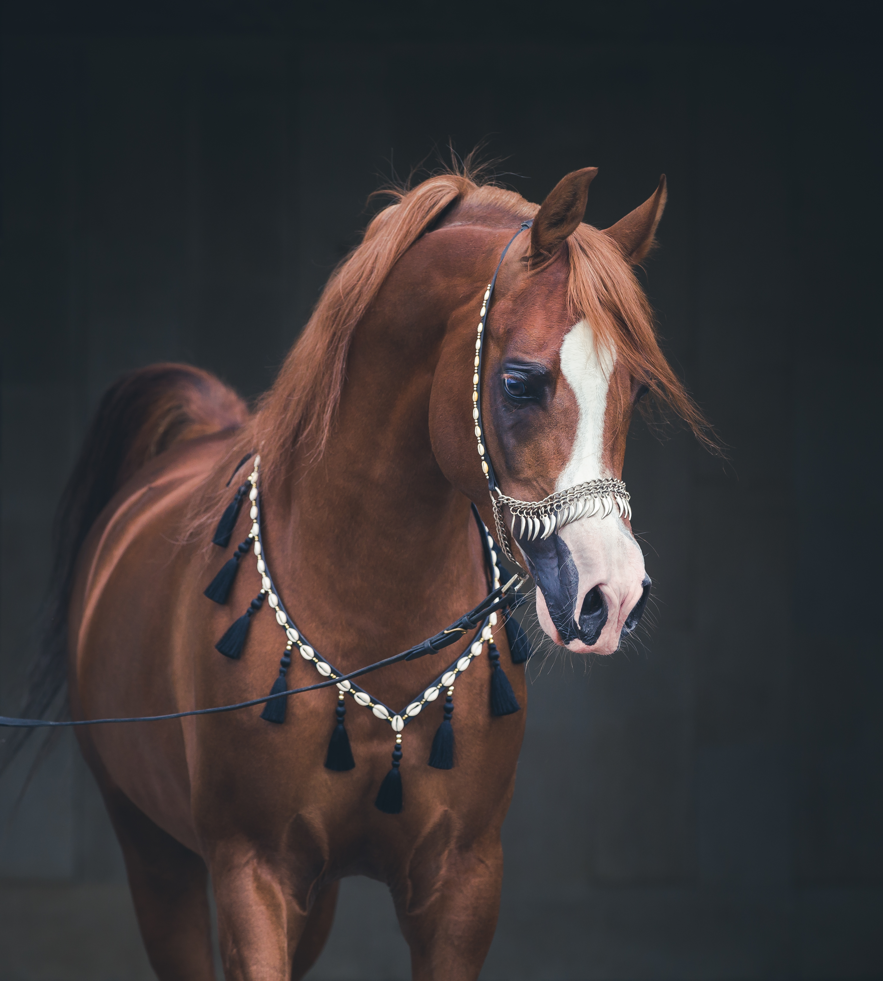 Экспириен (PL)