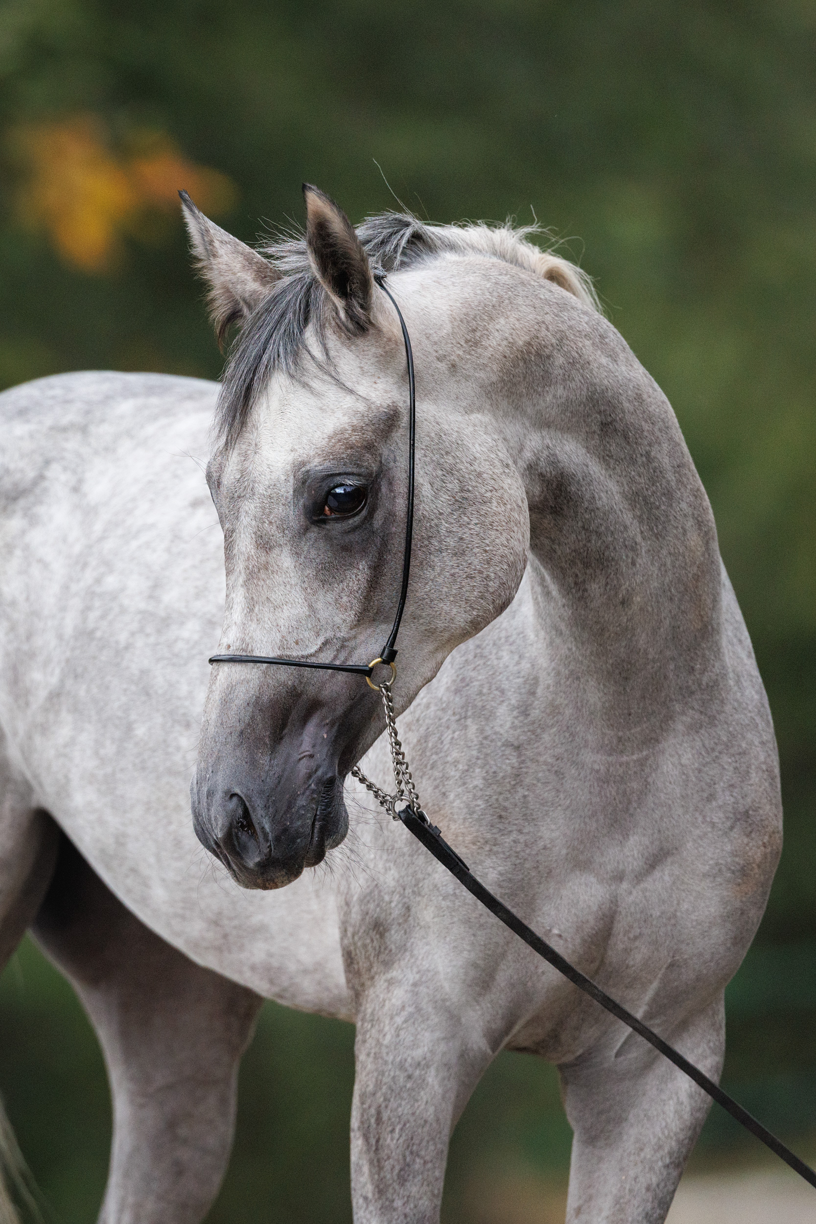 Вахта Терск