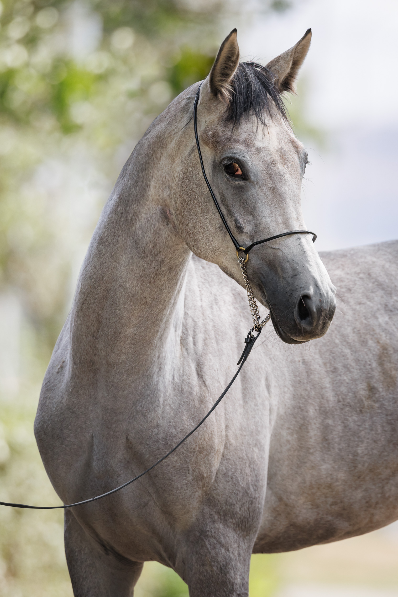 Верная Терск