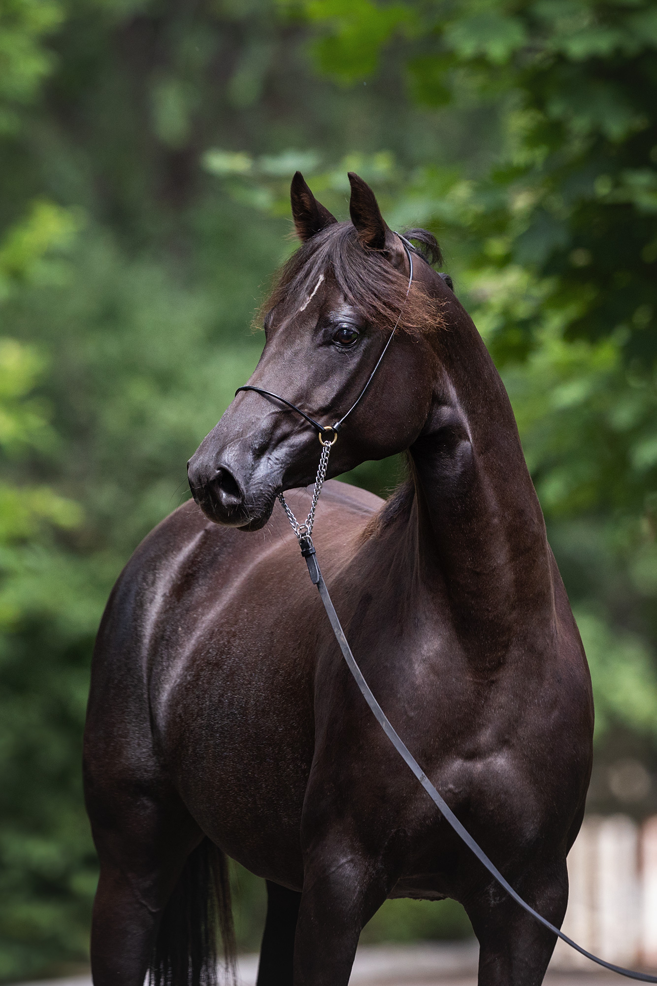 Франция Терск