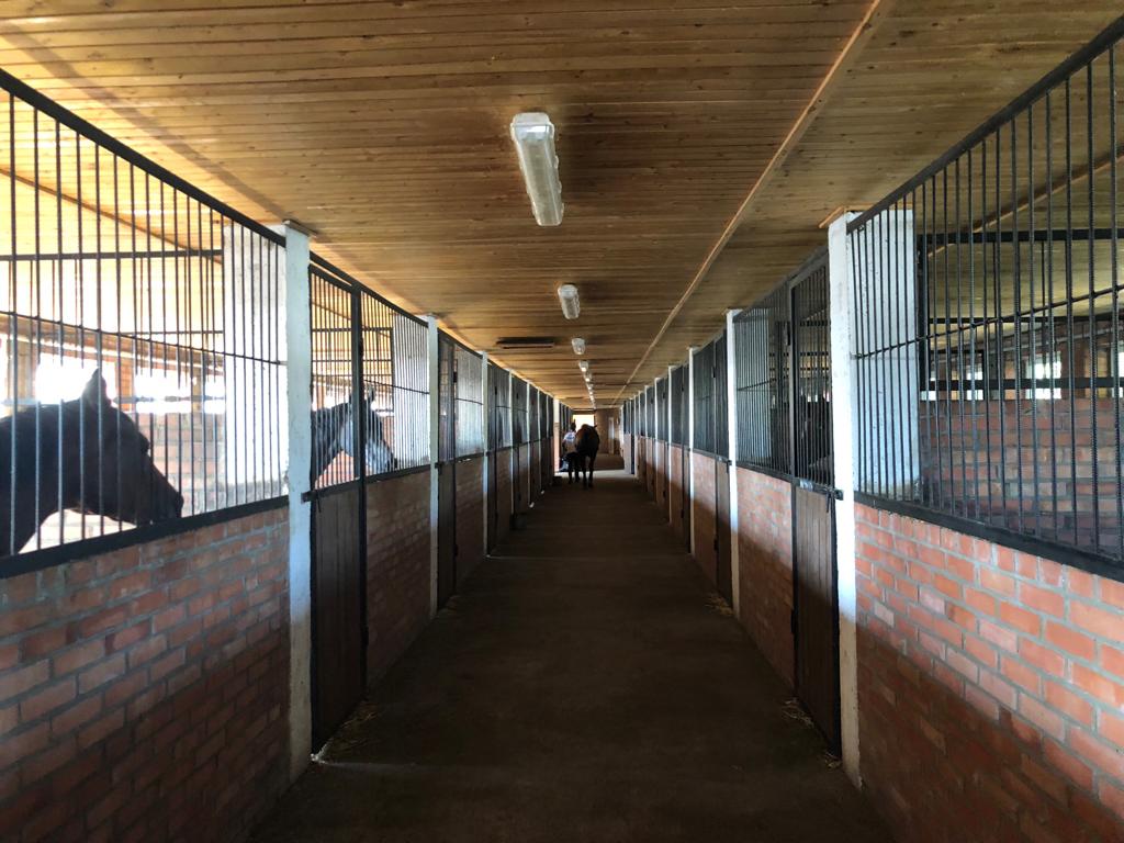 Просторные денники